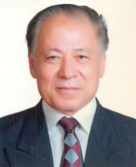 محمد احمد عبدالدايم محمد