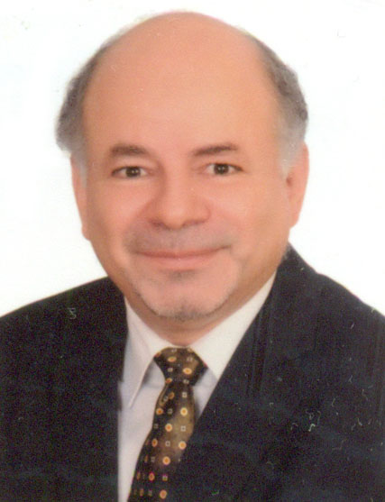 محمد احمد محمد ابراهيم سعفان