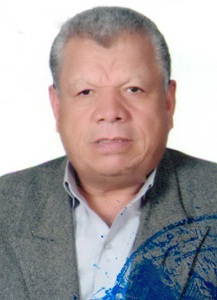 محمد احمد محمد صالح