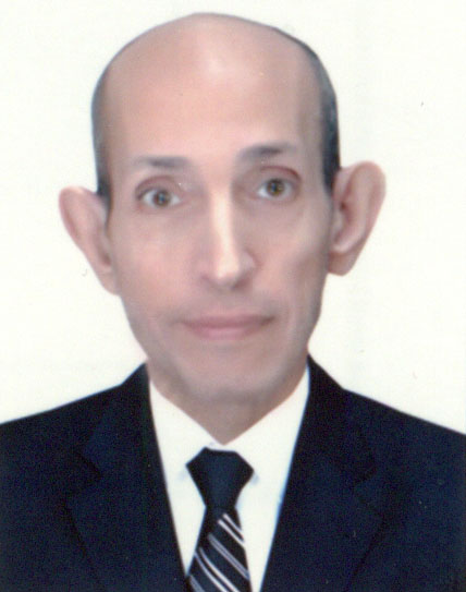 محمد نجيب عبدالله سالم