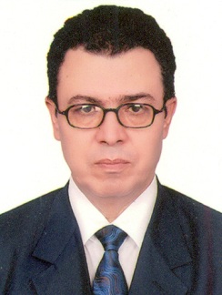 محمود عمر محمد محمد سليم