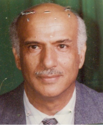 السيد حنفى عوض موسى