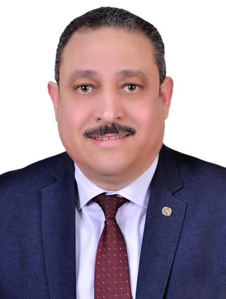 Nasr Abdelwahab Mohamed Nasr