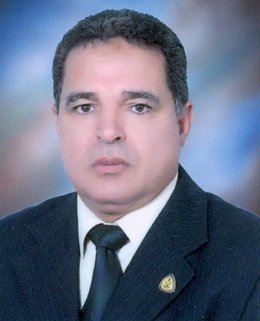 رشيد عامر محمد محمد عامر