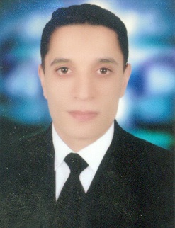 محمد الحسينى المتولى الحسينى لاشين