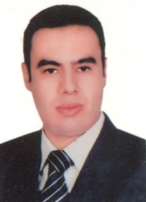 عمرو محمد محمد المرزوقى