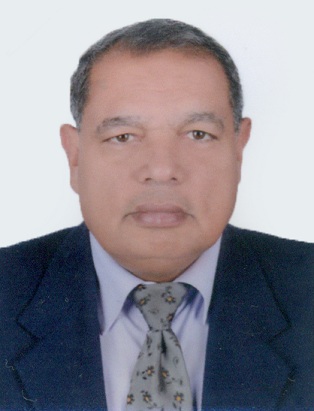 مجدي اسماعيل احمد سليمان