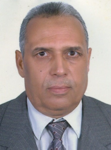 سيد ابوضيف عزاز احمد
