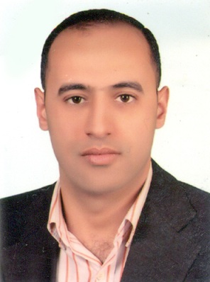 محمد نبيه عبدالهادى السيد