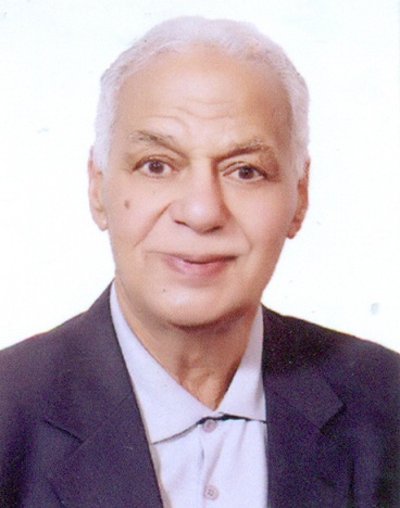 فتحي السعيد ابراهيم السنطيل