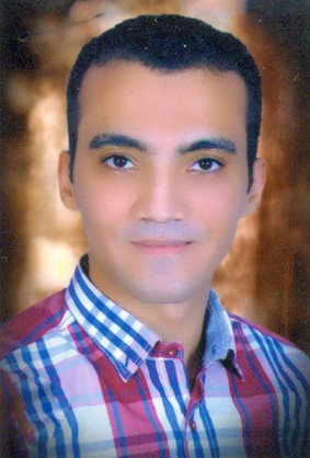 محمد محمود فتح الله عبدالعزيز