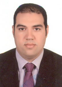 محمد حسن احمد ربيع