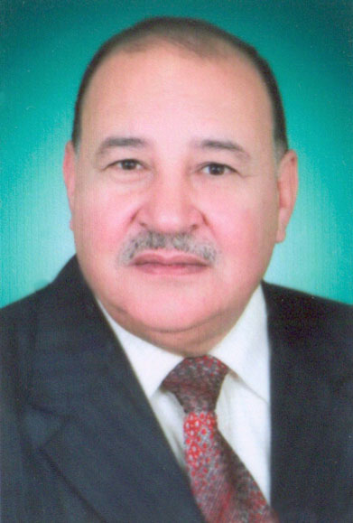 السيد سليمان علي السيد السباعى