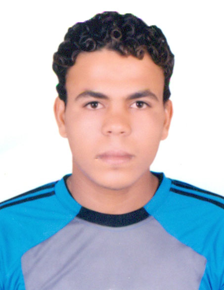 محمد عبدالجواد احمد محمد