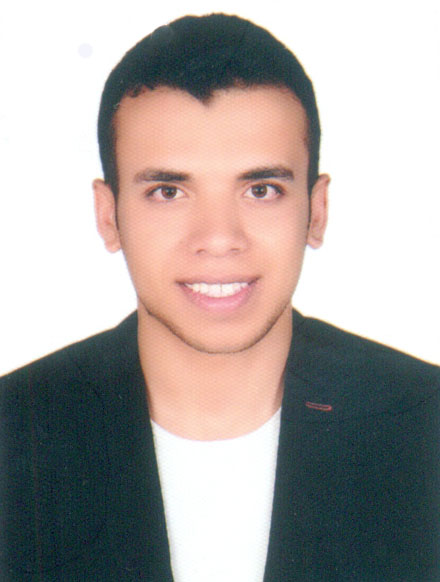 محمود فوزي حسنين عبدربه