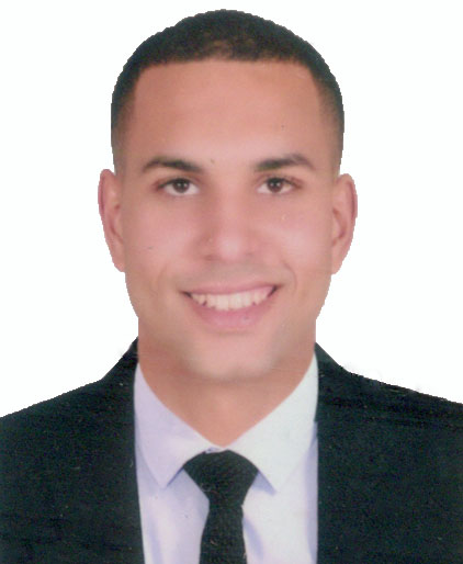 السيد عبدالعزيز ابراهيم السيد الشوبكي