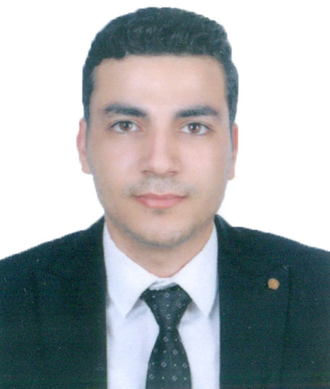 محمد صلاح سليمان محمد احمد الجمل